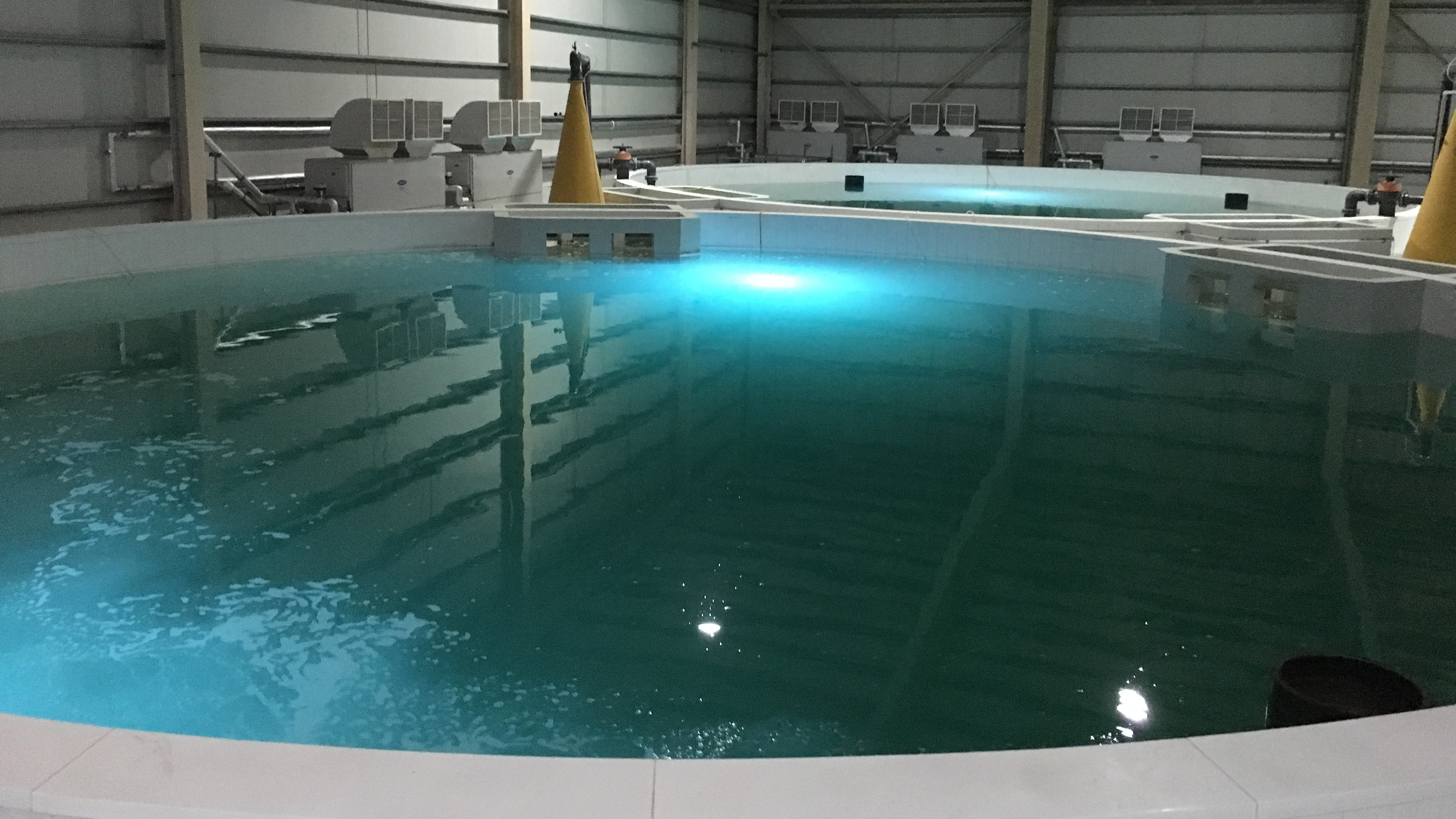 Water Quality Testing And Monitoring